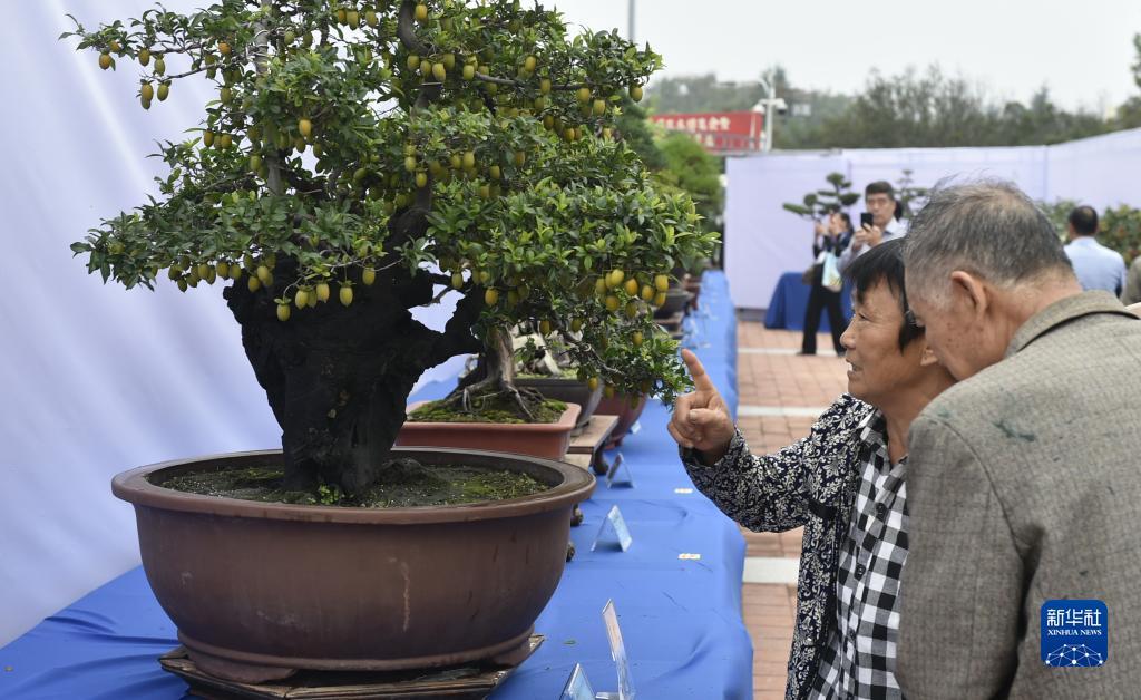 澳门新萄京3189